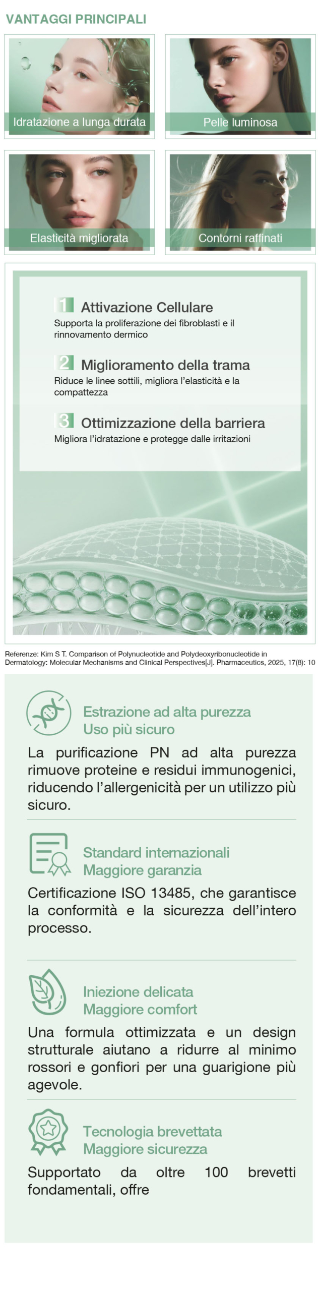 TMedical - Sofiderm Regeneration M